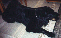 Athos