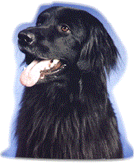 Athos
